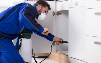 Soft Facility Management: Everything You Need to Know
